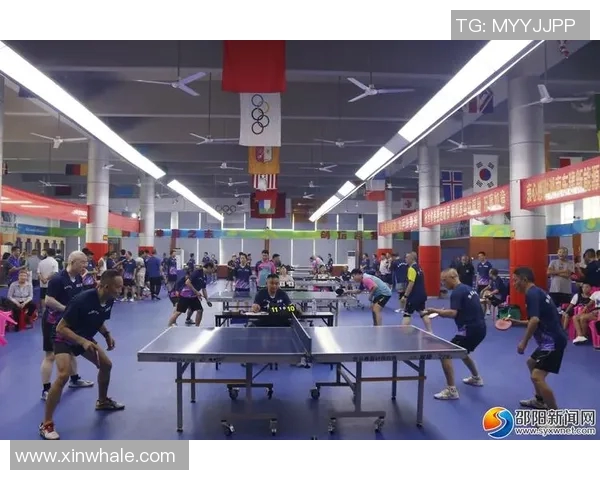 深入分析成都乒乓球队区域防守战术的特点与应用策略